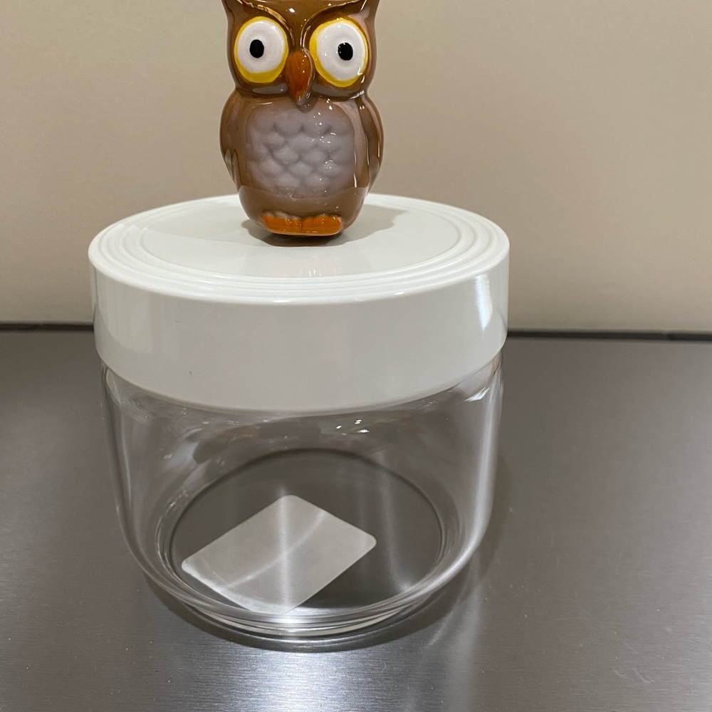Nora Fleming storage jar with ceramic owl mini. NWT